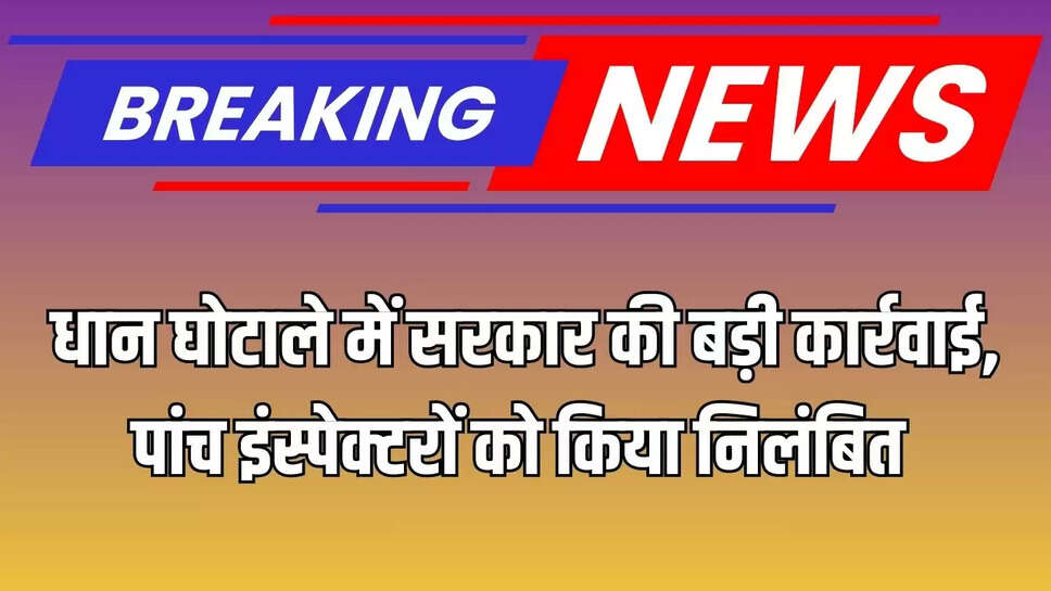Paddy Scam : धान घोटाले में सरकार की बड़ी कार्रवाई, पांच इंस्पेक्टरों को किया निलंबित 