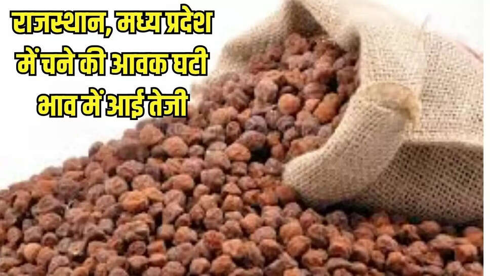 market price : राजस्थान, मध्य प्रदेश में चने की आवक घटी, भाव में आई तेजी 
