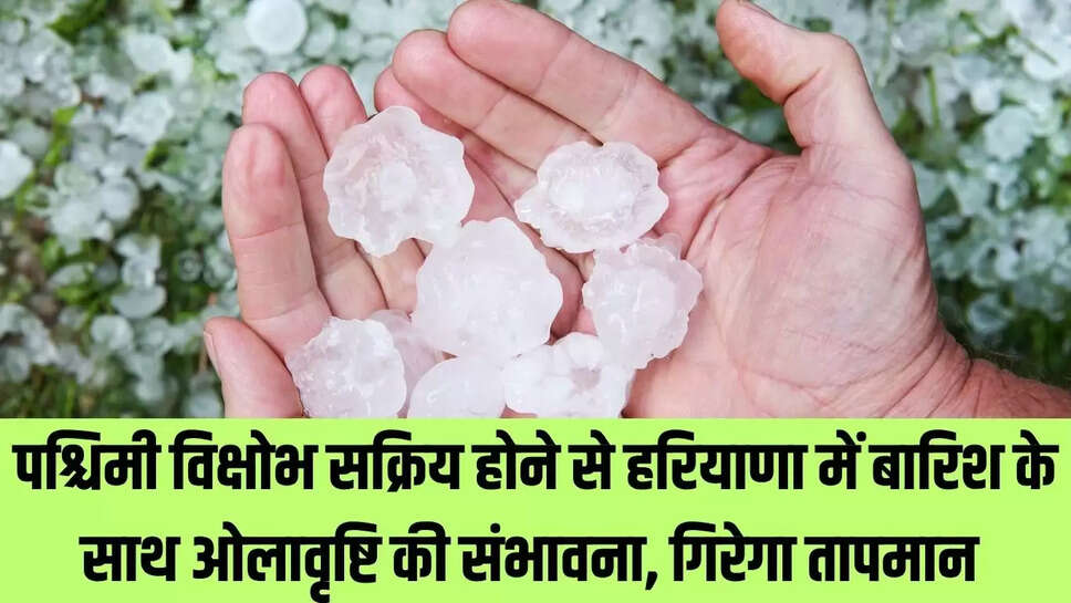 Haryana Weather : पश्चिमी विक्षोभ सक्रिय होने से हरियाणा में बारिश के साथ ओलावृष्टि की संभावना, गिरेगा तापमान 