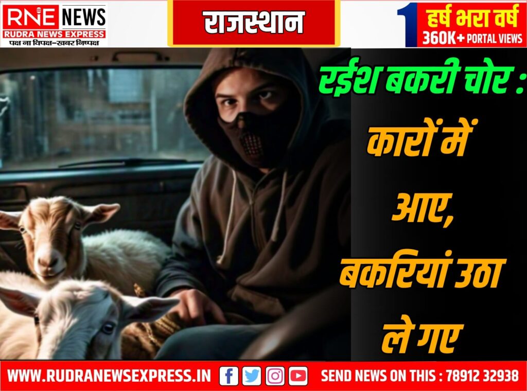 High Profile Goat Thief : दो कारों में आए चोर 15 बकरियां उठा ले गए, पुलिस ढूंढ रही